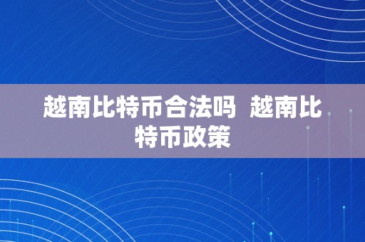 越南比特币合法吗  越南比特币政策