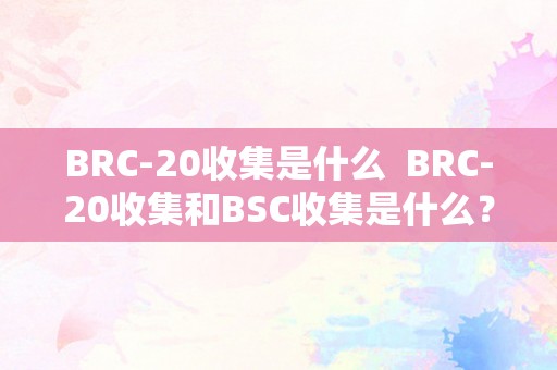 BRC-20收集是什么  BRC-20收集和BSC收集是什么？详细解释和比力