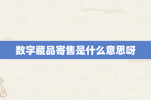 数字藏品寄售是什么意思呀
