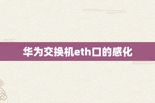 华为交换机eth口的感化