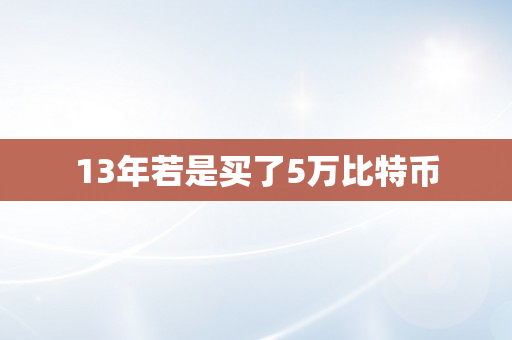 13年若是买了5万比特币